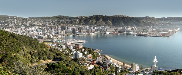Wellington by Rob Suisted