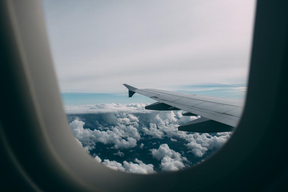 Plane wing