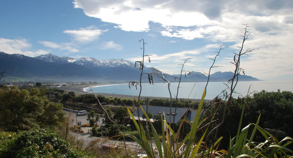 kaikoura