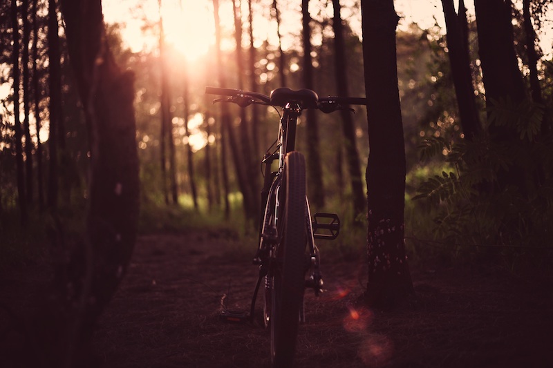 bicycle
