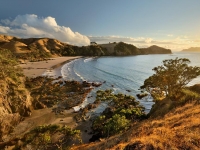 Auckland beach