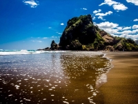 Piha Beach