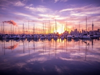 Auckland pink sky