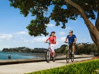 Biking in Auckland