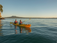 Kayaking in Hauraki Gulf