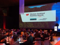 09.10.14.WestpacAklBusinessAwardsSouth_164 (2)