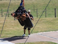 The Swoop Rotorua