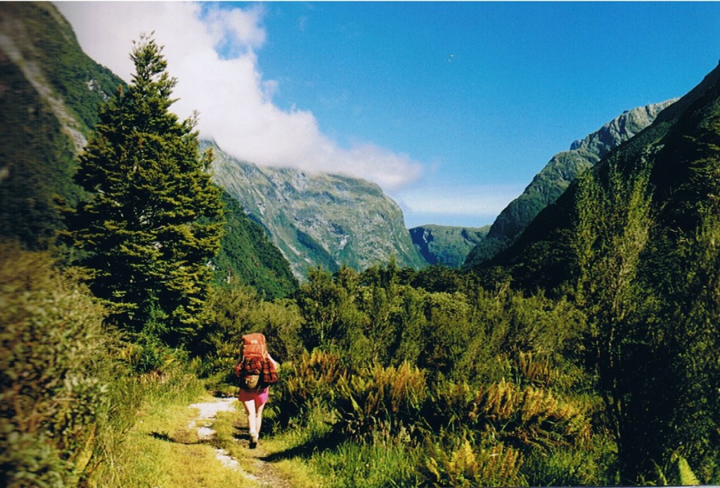 Milford_track