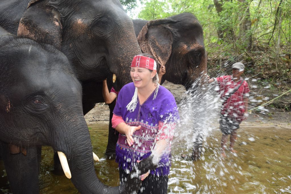 Elephant Park Chiang Mai