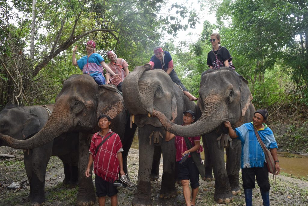 Lesley with the Elephants